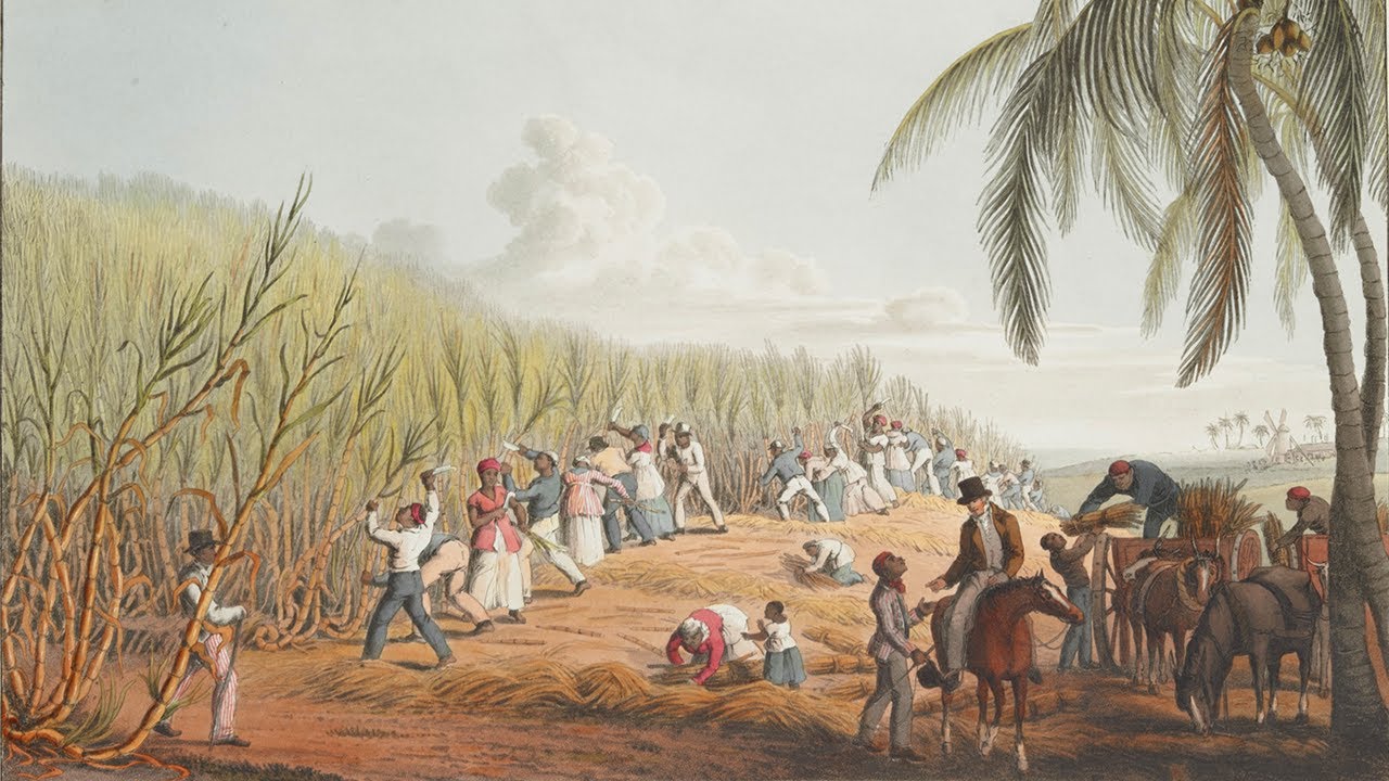 Colonialism — cum s-a construit prezentul