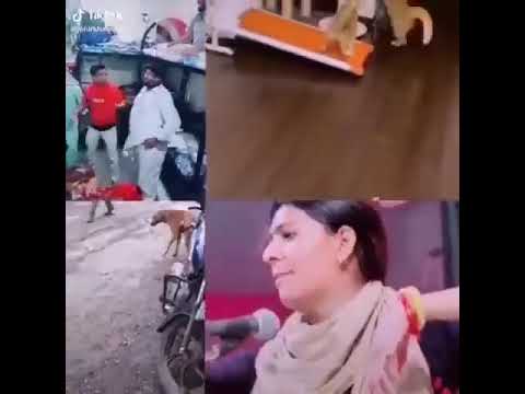 Very Funny 😁 | MrRox #shorts