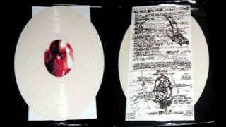 Shit and Shine   Life Like a Life