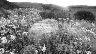 Sigvart Dagsland `alt eg såg` av Kristin Grov.