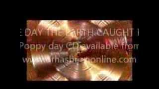 The day the earth caught fire