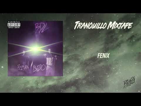 Bocian x Dyzio - FENIX