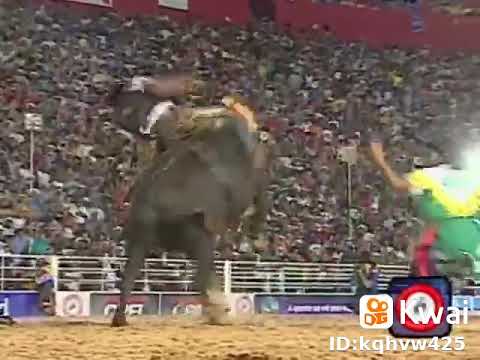 Ananias Pereira (Rodeio de barretos Ano 2002)