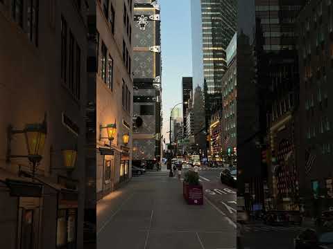 Evening on 5th Avenue #newyork