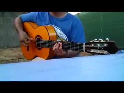 Guitarra gitana Jose Hernandez