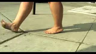 Out of the Sky, Into the Sea, by Lauren Hoffman