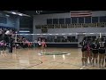 Alison Banks 2020 Setter