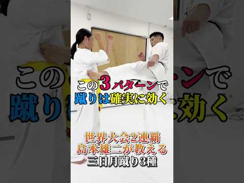 【蹴り強化】三日月蹴り3種 #島本道場 #空手 #karate #ミット打ち #格闘技 #コンビネーション #キックボクシング #前蹴り #三日月蹴り