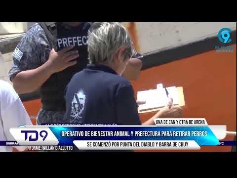 DESDE BARRA DEL CHUY A AGUAS DULCES: CONTROL Y MULTAS POR PERROS EN LA PLAYA