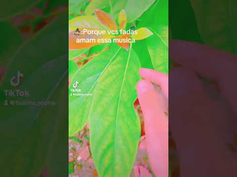 #fadas #fairy #rpg #fadas #fairy #rpg #fadas #fairy #fadas #fadas #fadas #fadas