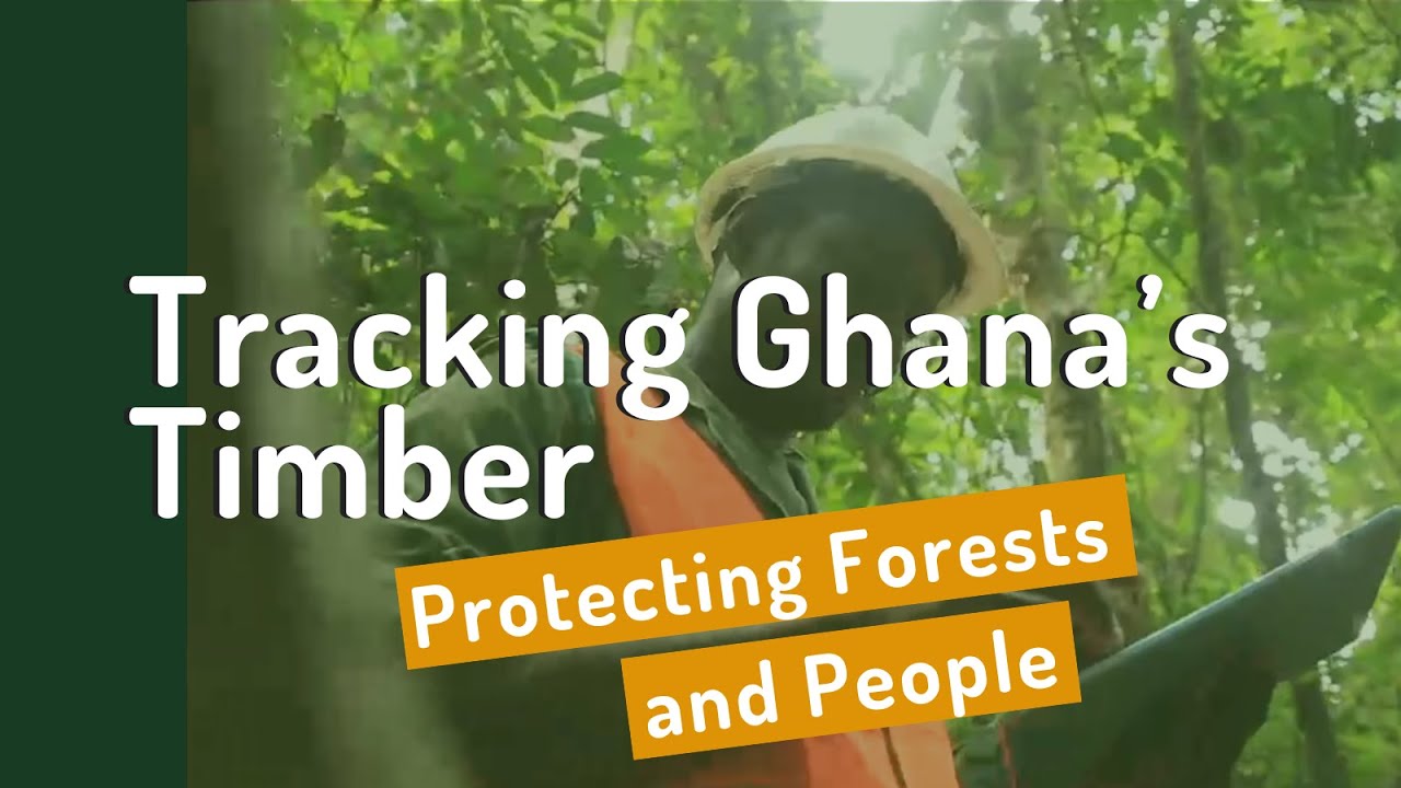 Tracking Ghana’s Timber: Protecting Forests and People