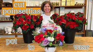 From pot to vase - cut poinsettias in design