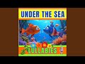 Twinkle Twinkle Little Star Tropical Lullaby Version Soft Baby Bedtime Song