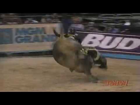 Copperhead bucks Cauy Hudson - 98 PBR Finals