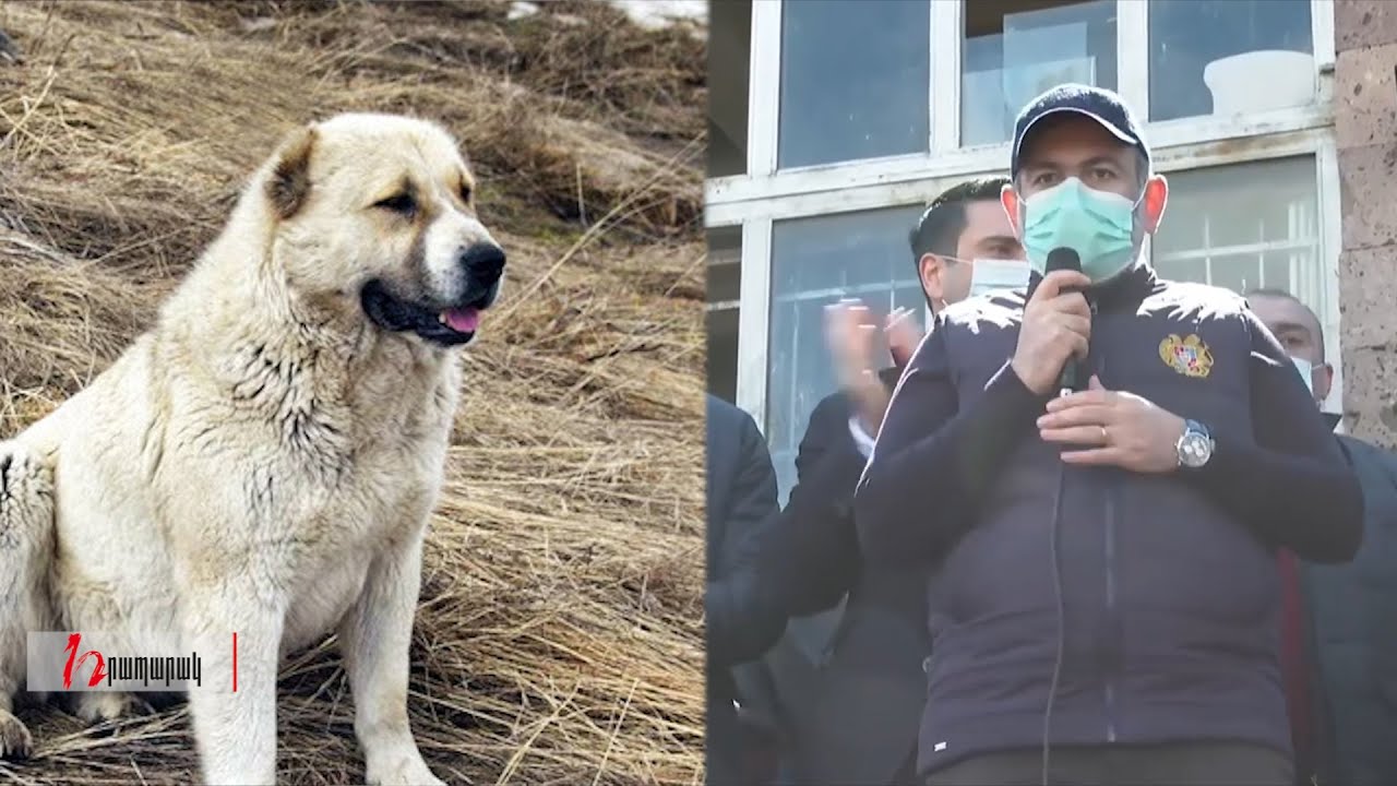 Որ մենք՝ գելխեղդ…