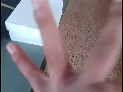 Teletubbies Sleepover (2000)