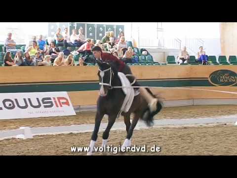 CVI Ebreichsdorf 2017 - CVI3 Male Top 3