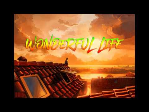 Newlojik - Wonderful Life [Raggatek]