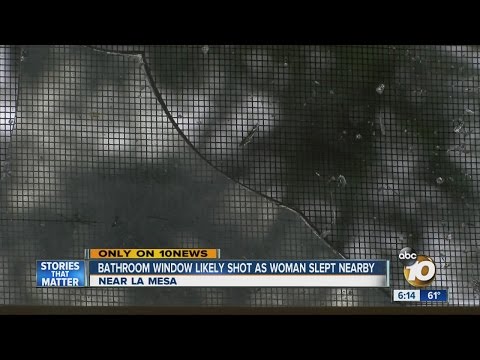 Bathroom window likely shot as woman slept nearby