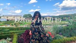 Tata Simonyan - Dzuyne Halel Er [HayClass Remix] (2021)