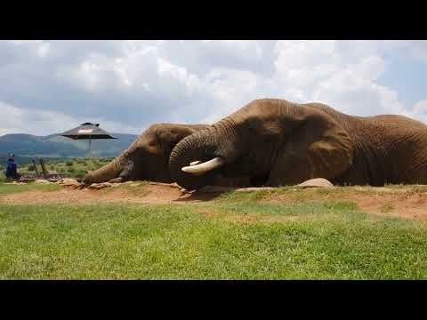 The Mental Passover|TruthOfYahuahMinistry #god #jesus #holyspirit #yahuah