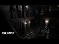 BLIND Gameplay PC