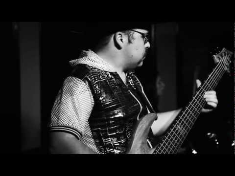 Friday Night Lullaby (Live)