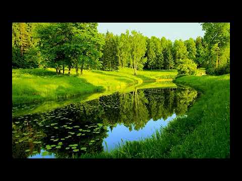 Vladimir Tsybin Allegro Concertante No  2