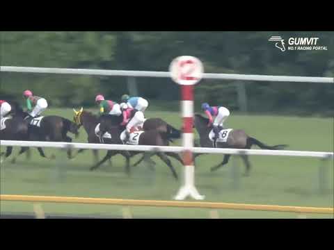 해외 경마 2019 Tokyo Yushun G1
