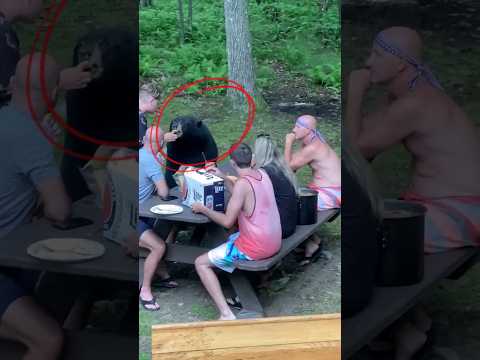 A Wild Bear Joins a Family Picnic! 😳🐻🌿