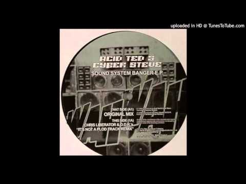 Acid Ted & Cyber Steve - Sound System Banger (Original Mix)