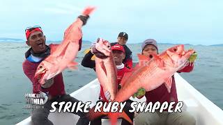 Download lagu Sensasi Triple Strike Ruby Snapper di Perairan Sabang | MANCING MANIA STRIKE BACK (24/10/26) P1 mp3