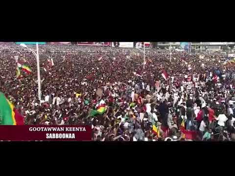 Sabboonaa (Gotawwan kenya) Lamma magarsa