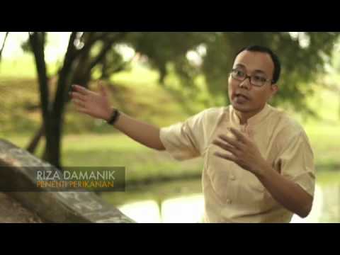 Jenis potensi pil Urolog untuk pembesaran penis
