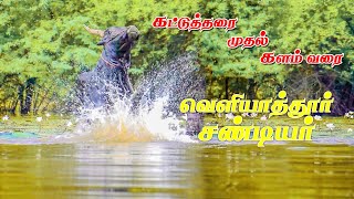 கட்டுத்தரை முதல் ம