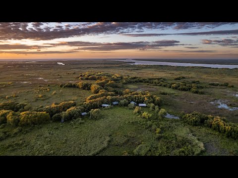Delta Lodge: A Hidden Gem for Dorado Fishing in Buenos Aires' Backyard