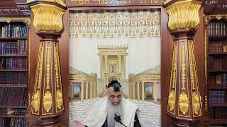 הרב מאיר דוד שמואלי - סימן קפ"ח • דיני ברכת המזון בשבת, והטועה בברכת המזון