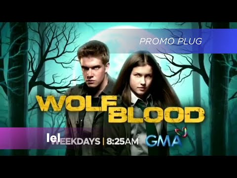 Wolf Blood August 23, 2023