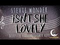 ISN'T SHE LOVELY-Stevie Wonder (Acoustic Karaoke/Lower Key)