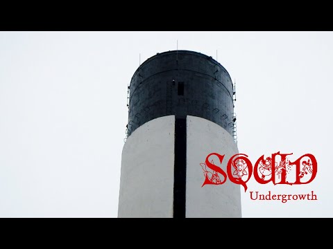 Video thumbnail for Undergrowth