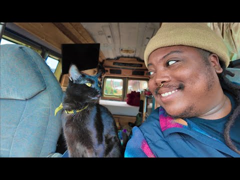 I Spent My Birthday Alone In A Van (With a Cat) 