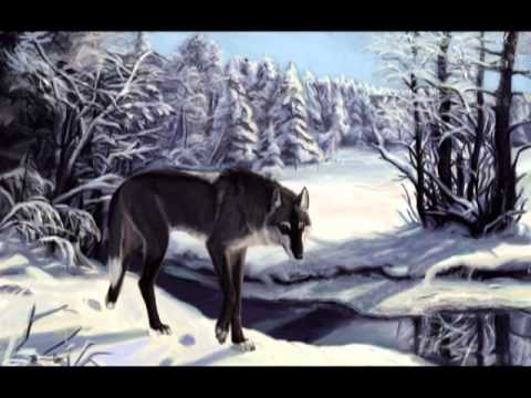Дмитрий Коннов - Волчица (Супер песня)