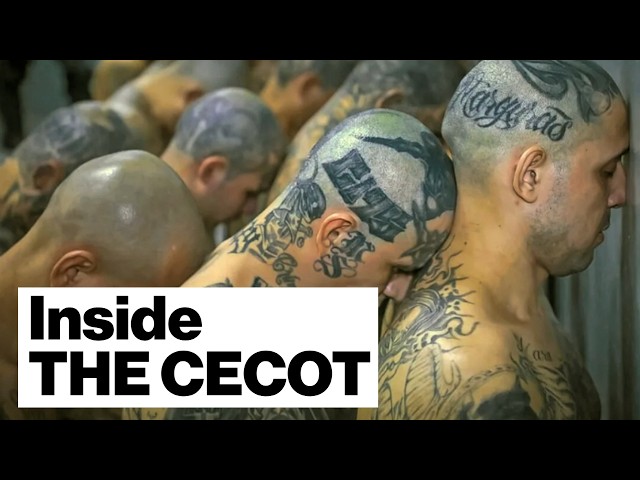 Welcome To HELL: Inside Brutal El Salvador Mega Prison SDDEFAULT Thumbnail