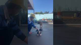 🐶new  method to teaching Rusty!please see the video to end after you know and understand about fun