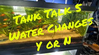 Tank Talk EP-5 - Water Changes - Yes or No?