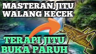 Download lagu MASTERAN WALANG KECEK || SUARA JERNIH BELALANG KECEK DURASI JEDA @ bang bhulux mp3