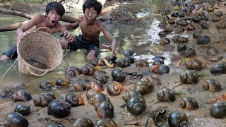 Primitive Wildlife - Find Food Meet Snail Near the River - Eating delicious