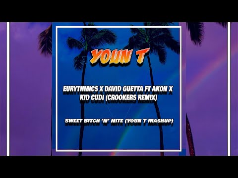 Eurythmics X David Guetta Ft Akon X Kid Cudi (Crookers Remix) - Sweet Bitch 'N' Nite (Youn T Mashup)