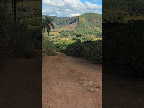 Minha Terra querida!