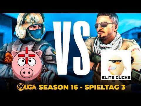 EMOTIONSGELADEN! 🏆 TEAM SCHWEINEAIM vs. ELITE DUCKS 🏆 - 99Damage Liga Season 16